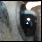 eye2